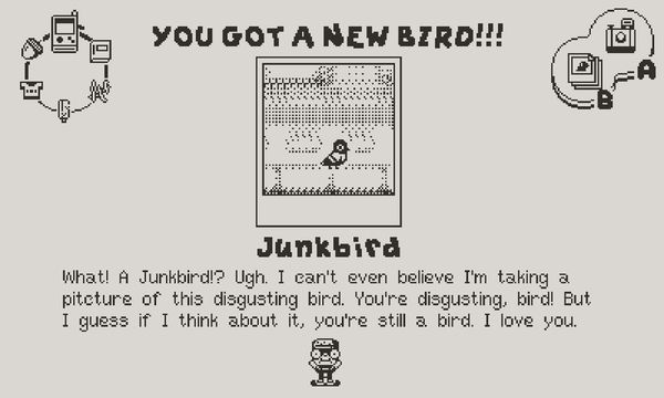 Screenshot of Casual Birder showing you've captured a photo of a Junk Bird to add to your diary. The description isn't super enthusiatic.
